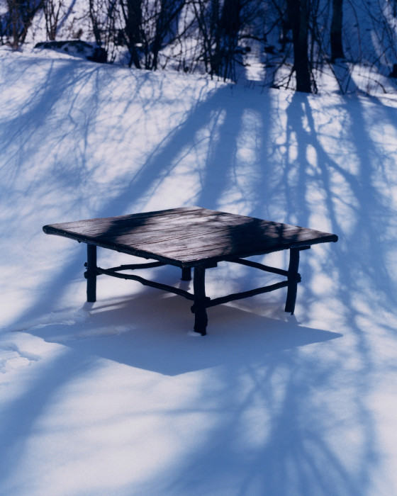 TWIG COFFEE TABLE, 2022